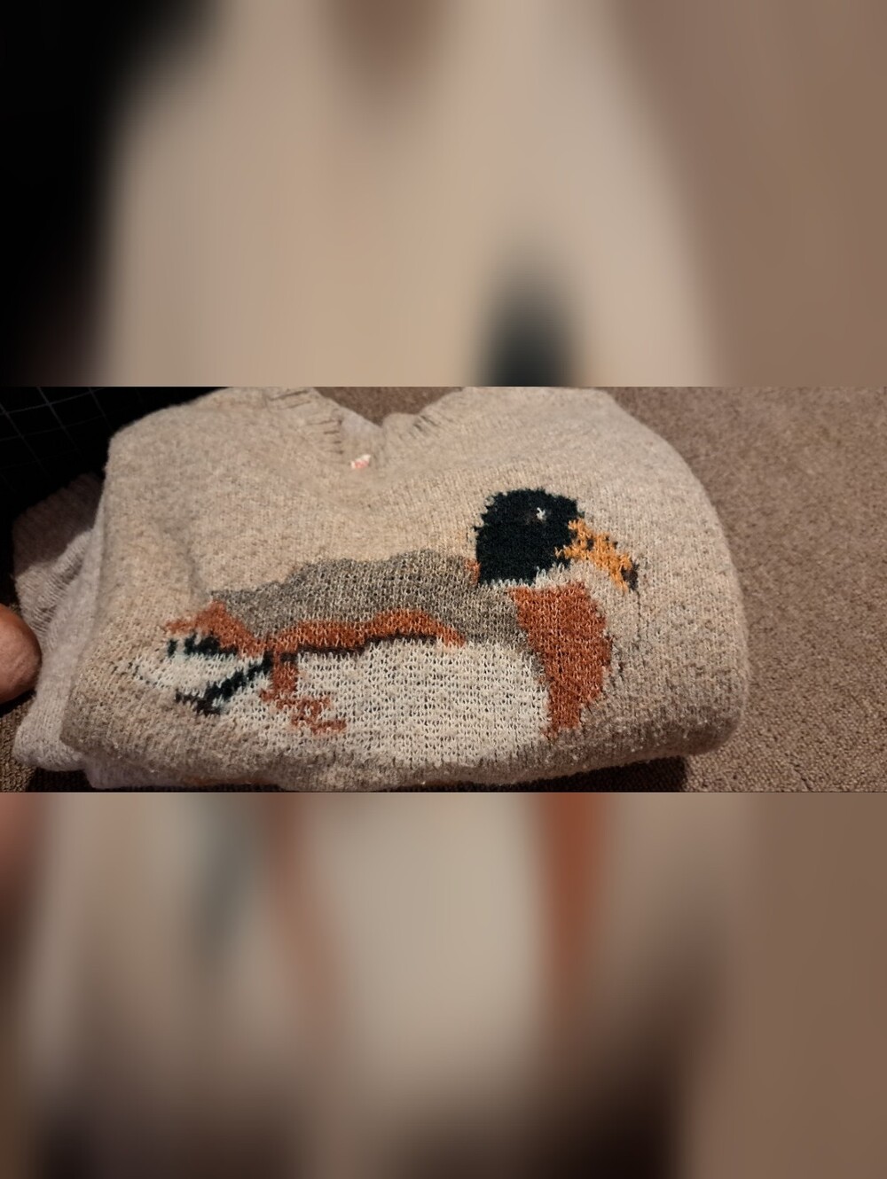 Boutique Duck Sweater - Picture 2 of 2